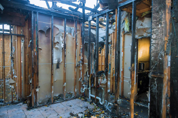 Professional Fire Damage Assessment technician working in USA